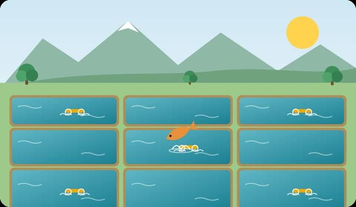 Illustration of the project National Fish Farming