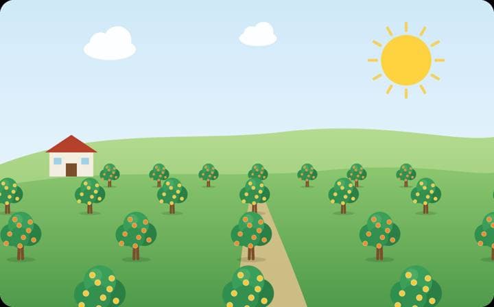 Ilustración del proyecto Frutícola Integral