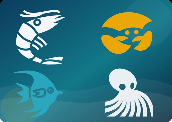 Illustration of the project Integrated Shrimp & Fisheries